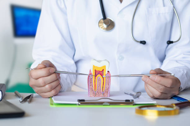 Best Emergency Root Canal Treatment in New Market, TN